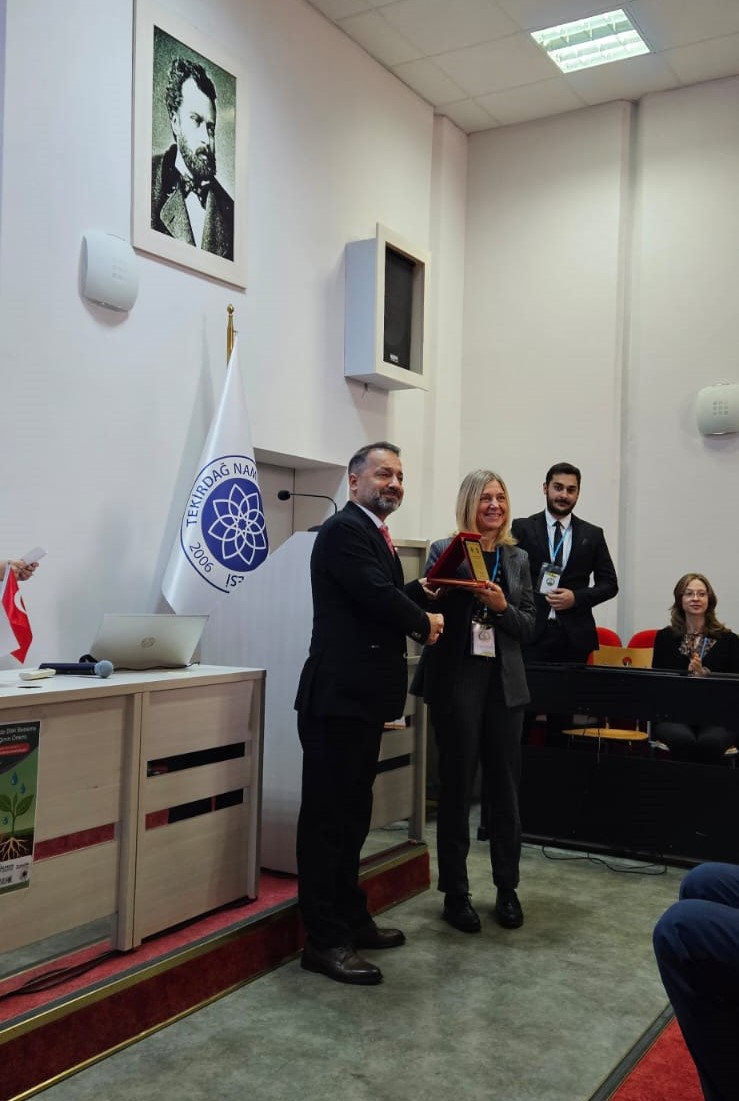 Namık Kemal Üniversitesi6